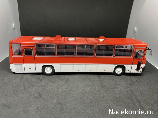 Наши Автобусы №18 - Икарус-250.59