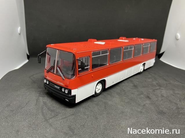 Наши Автобусы №18 - Икарус-250.59
