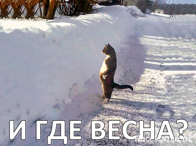 Eva1949 - Дом мечты-души моей воспоминания; 1Abrikoska - Мой гостеприимный дом