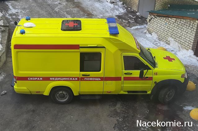 Автолегенды вживую