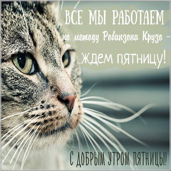 Тракторная болталка