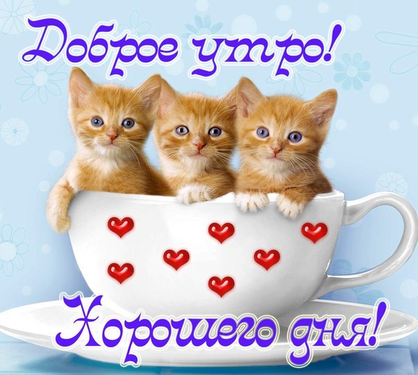 Тракторная болталка