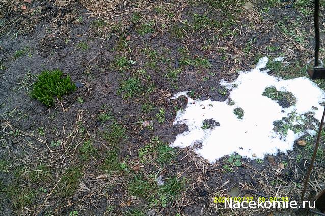 Eva1949 - Дом мечты-души моей воспоминания; 1Abrikoska - Мой гостеприимный дом