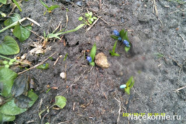 Eva1949 - Дом мечты-души моей воспоминания; 1Abrikoska - Мой гостеприимный дом