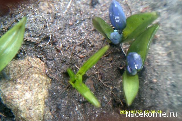 Eva1949 - Дом мечты-души моей воспоминания; 1Abrikoska - Мой гостеприимный дом