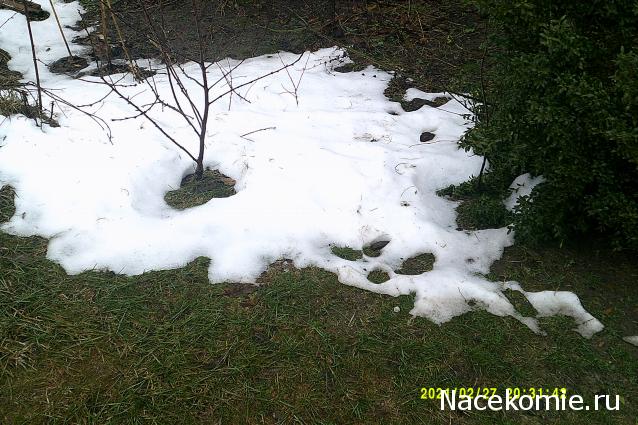 Eva1949 - Дом мечты-души моей воспоминания; 1Abrikoska - Мой гостеприимный дом