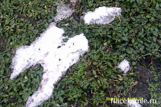 Eva1949 - Дом мечты-души моей воспоминания; 1Abrikoska - Мой гостеприимный дом