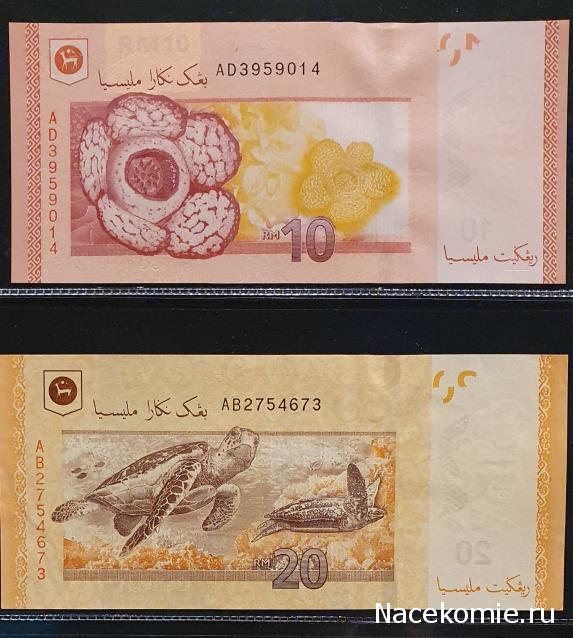 Коллекция alexenamel