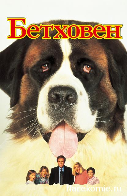 Кинозал автолюбителей