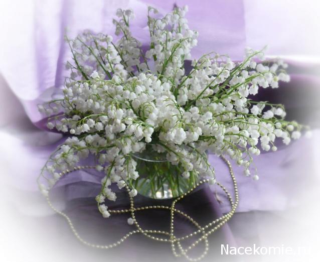 Наши Дни Рождения