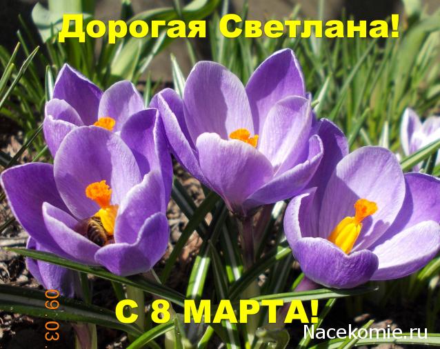Liana65-Snegana - Мой будущий дом и его обитатели.