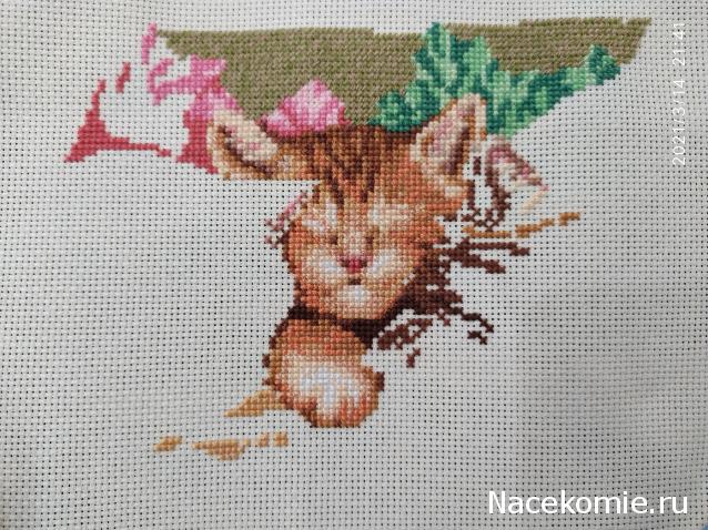 100 крестиков!