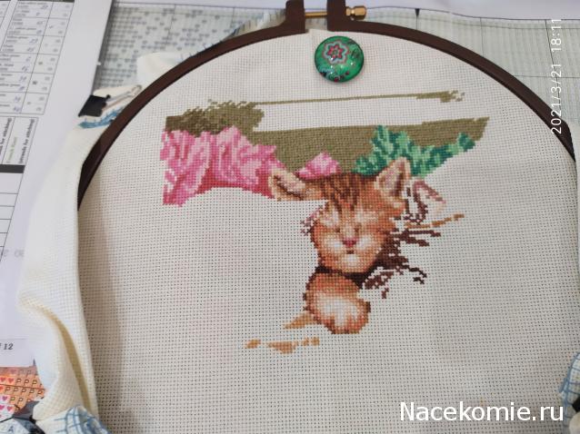 100 крестиков!