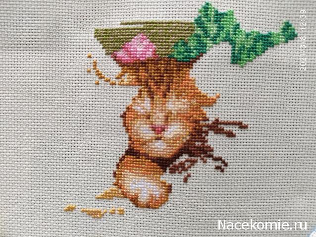 100 крестиков!