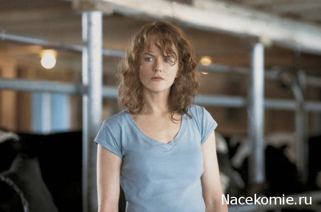 Кинозал автолюбителей