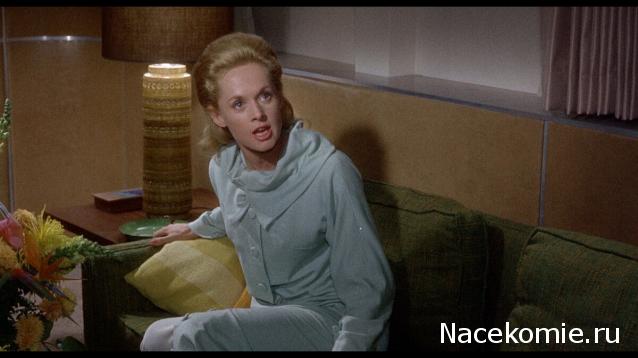 Кинозал автолюбителей