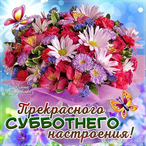 Liana65-Snegana - Мой будущий дом и его обитатели.