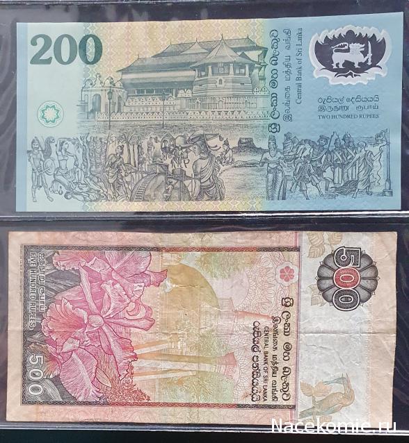 Коллекция alexenamel