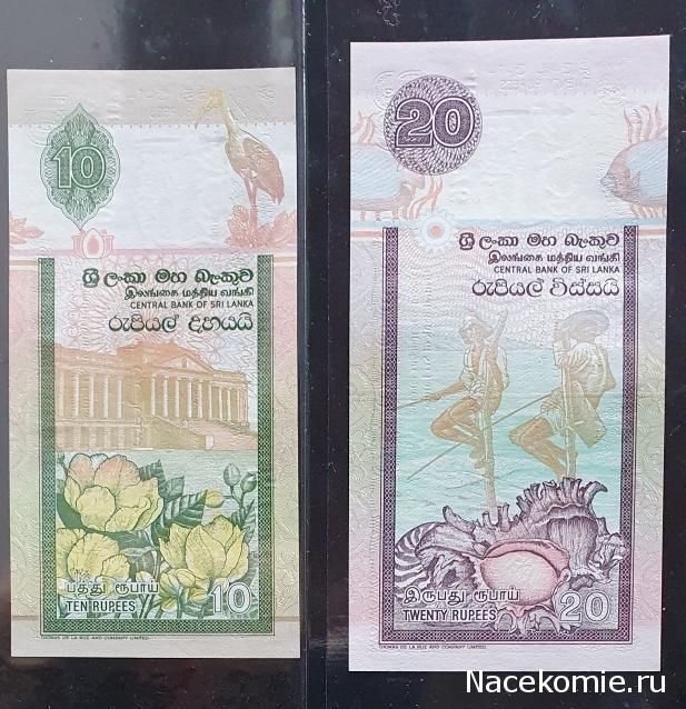 Коллекция alexenamel