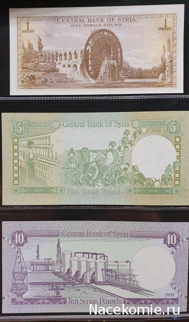 Коллекция alexenamel