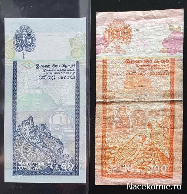 Коллекция alexenamel