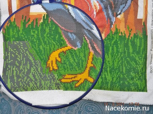 100 крестиков!