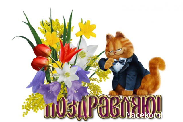 Праздник каждый день - поздравлялка Авторазделов