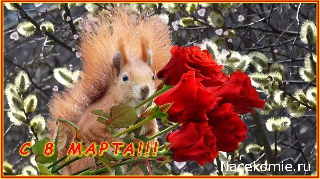 Праздник каждый день - поздравлялка Авторазделов