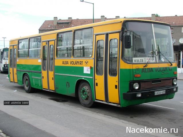 Наши Автобусы №25 - Икарус-260.06