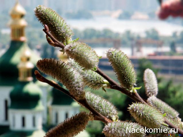 Тракторная болталка