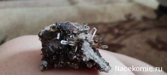 Коллекция минералов Allya