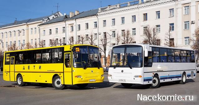 Наши Автобусы №26 - ПАЗ-4230 "Аврора"