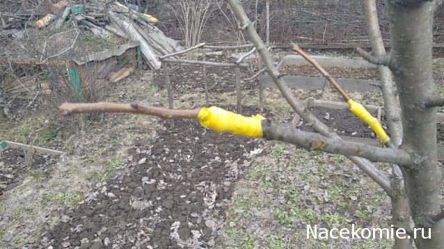 Eva1949 - Дом мечты-души моей воспоминания; 1Abrikoska - Мой гостеприимный дом