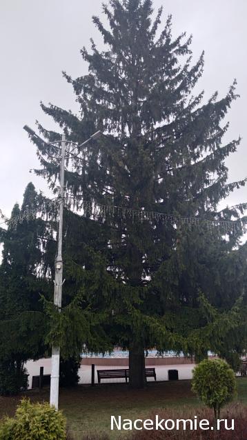 Тракторная болталка