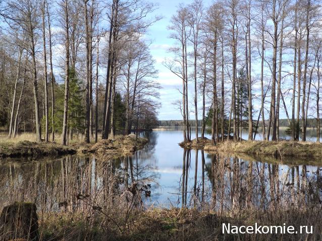 Тракторная болталка