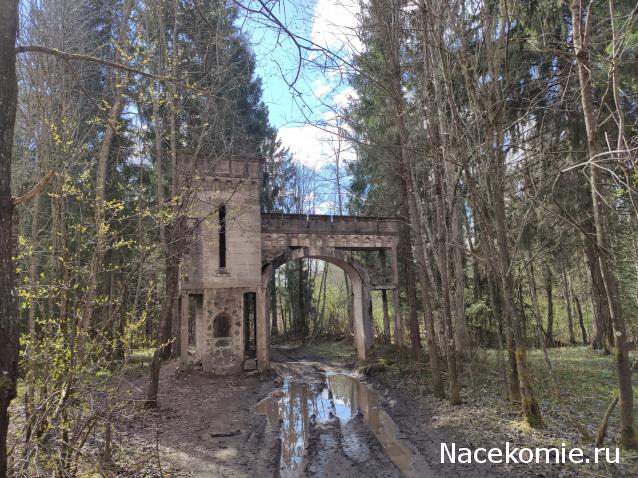 Тракторная болталка