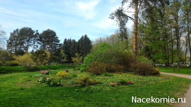 Тракторная болталка