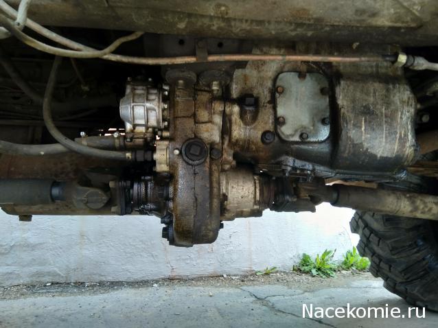 Автолегенды вживую