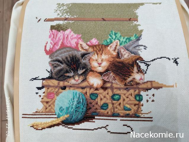 100 крестиков!