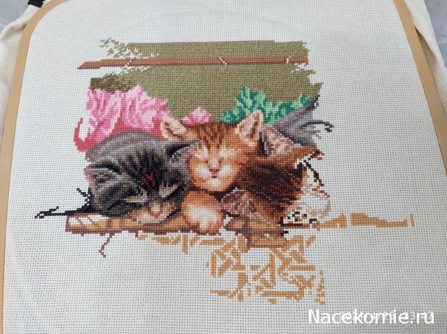 100 крестиков!