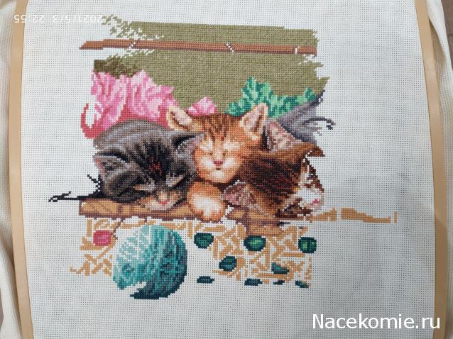 100 крестиков!