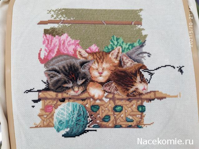 100 крестиков!