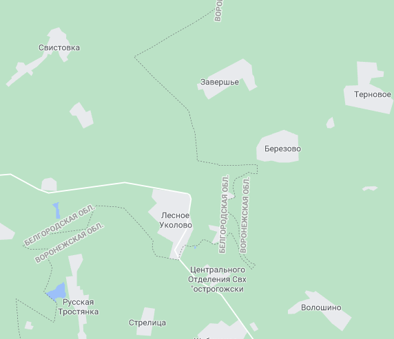 Куклы в народных костюмах №10 Кукла в праздничном костюме Воронежской губернии