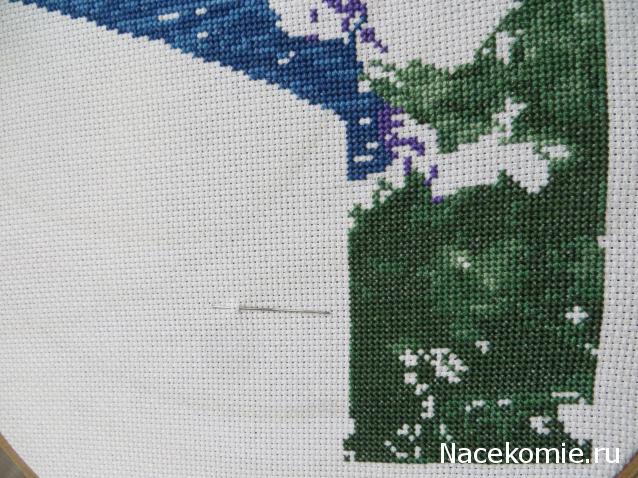 100 крестиков!