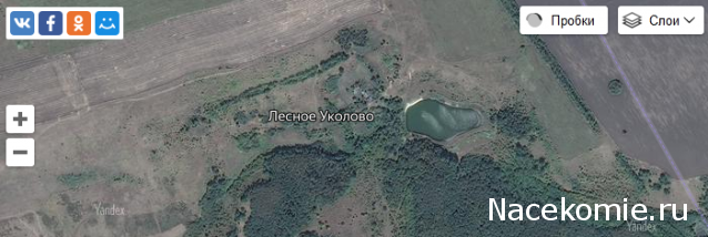 Куклы в народных костюмах №10 Кукла в праздничном костюме Воронежской губернии