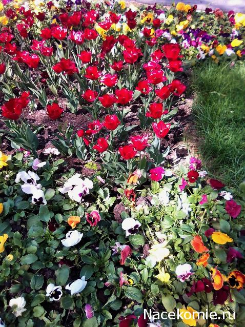 Тракторная болталка