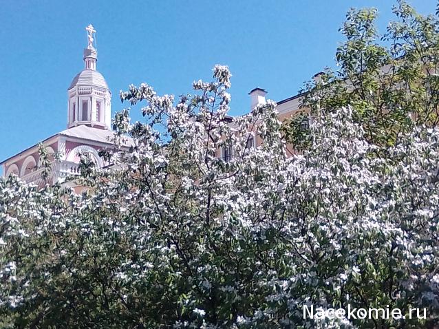 Тракторная болталка