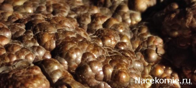 Коллекция минералов Allya