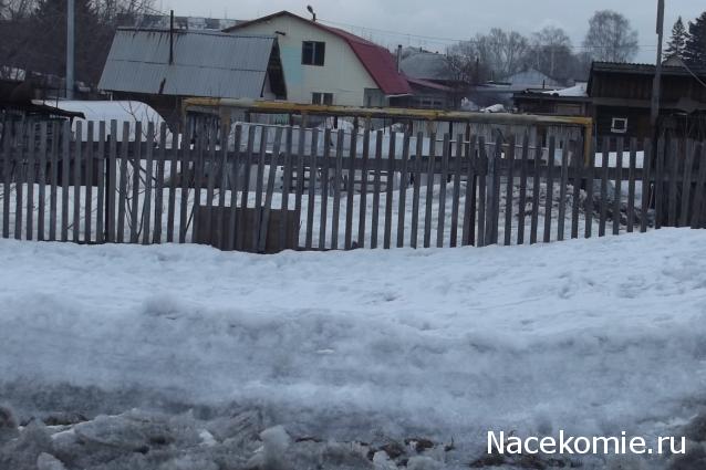 Автолегенды вживую