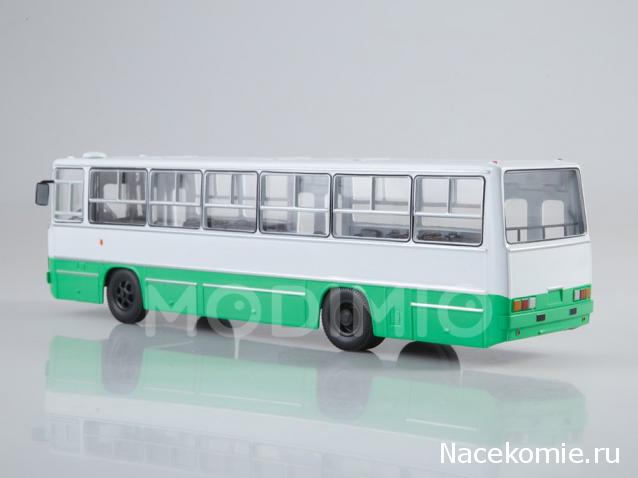 Наши Автобусы №25 - Икарус-260.06